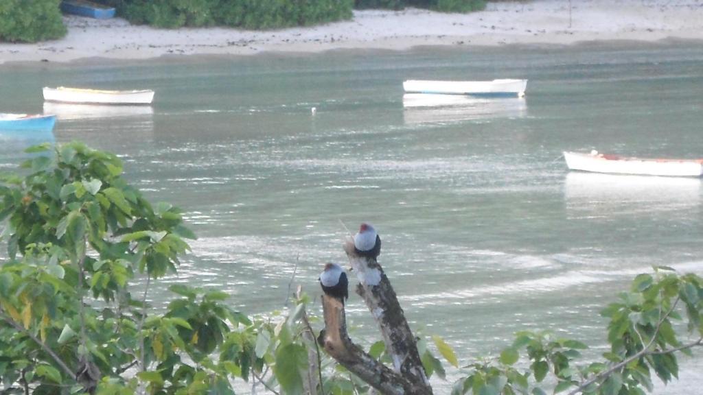 Bayview Villas Seychelles Anse Boileau Dış mekan fotoğraf